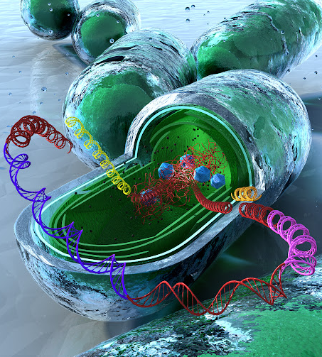 Metabolic Engineering
